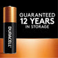 AA Batteries