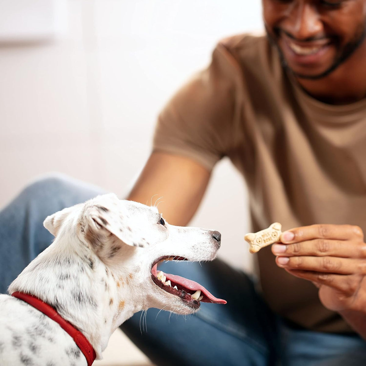 Original Dog Treats Biscuits