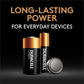 Alkaline Battery, 1 Count Pack