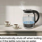 Hot Water Boiler