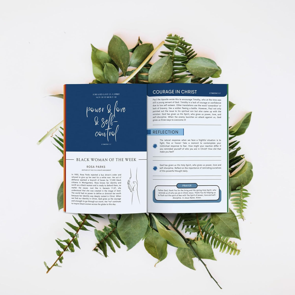 40 Weeks Bible Study