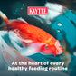 Floating Fish Food